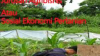 Jurusan Agribisnis Sosial Ekonomi Pertanian